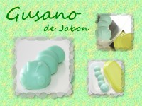 /album/fotogaleria/gusano1-jpg/